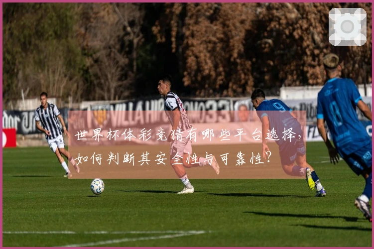 世界杯体彩竞猜有哪些平台选择，如何判断其安全性与可靠性？