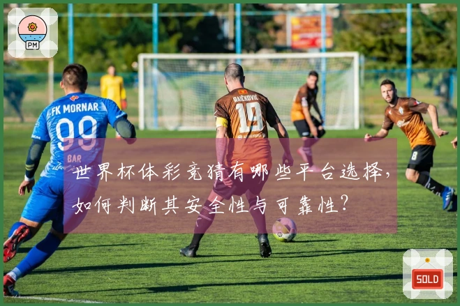 世界杯体彩竞猜有哪些平台选择,如何判断其安全性与可靠性?