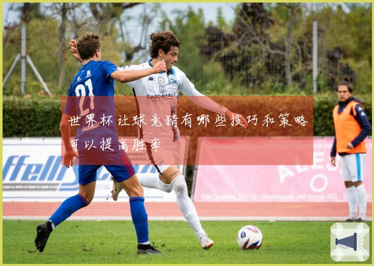 世界杯让球竞猜有哪些技巧和策略可以提高胜率